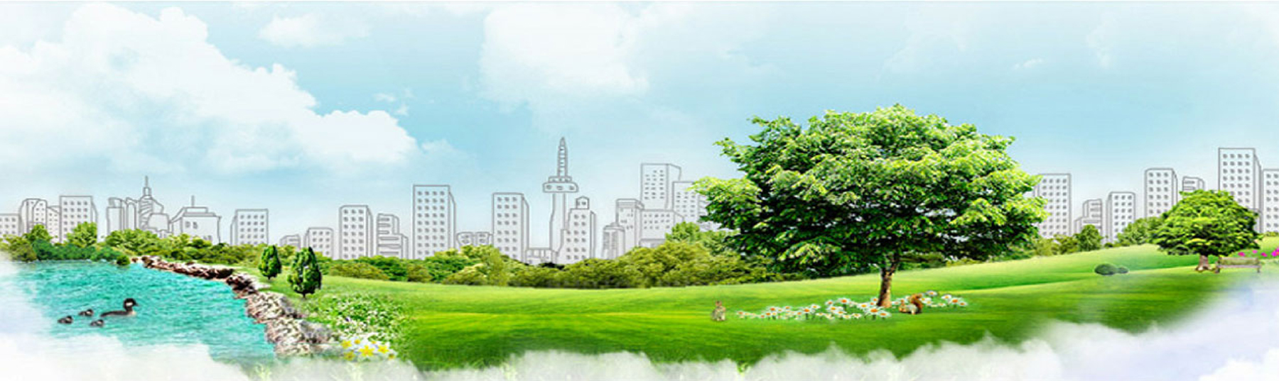 Divine Innovations (P) Ltd